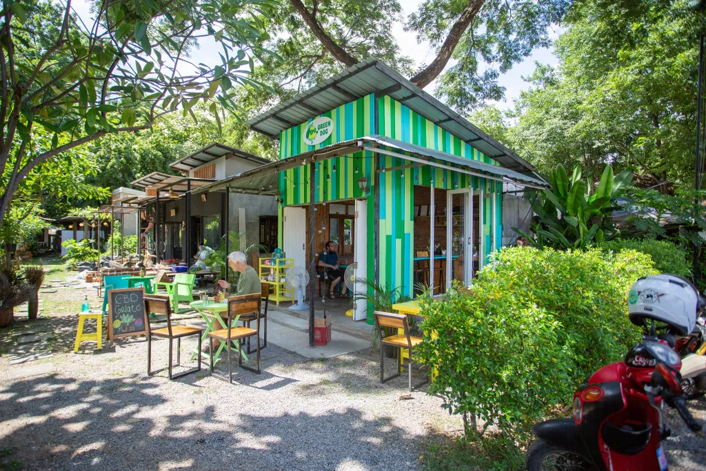 Why Kratom Cafe Chiang Mai Is Changing Local Wellness Culture